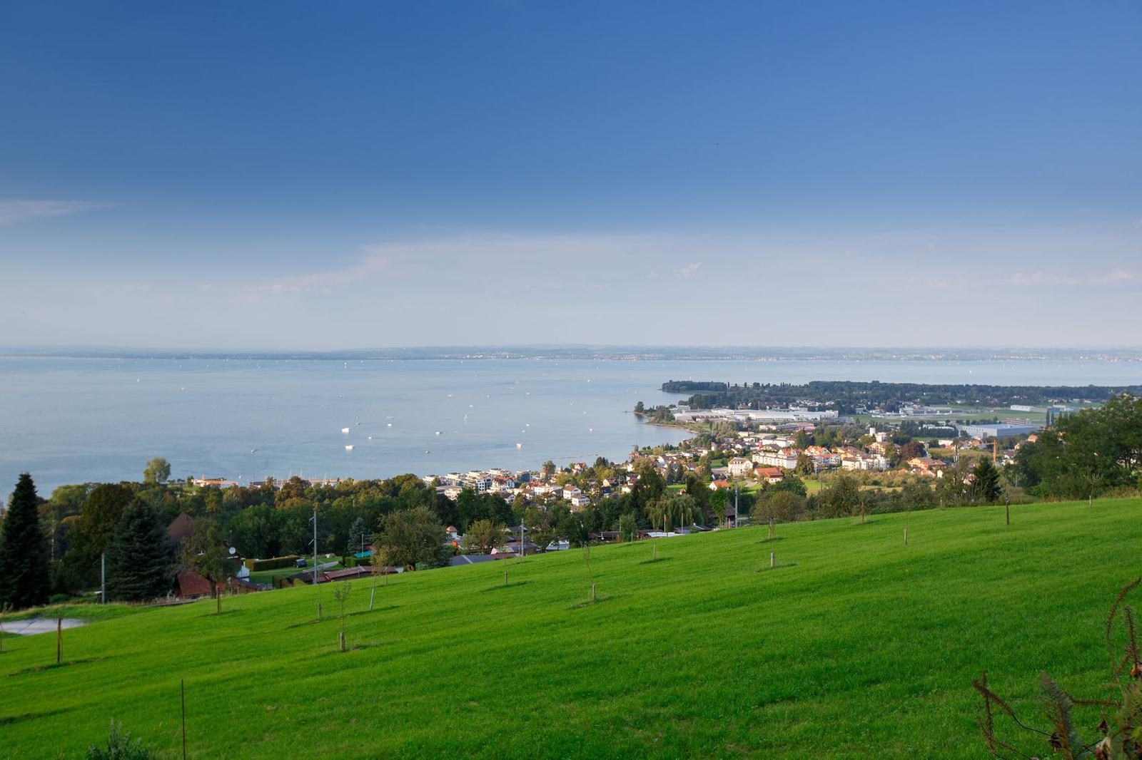 Panorama über den Bodensee vom Rossbüchel aus